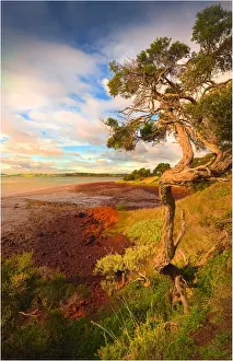 Churchill Island, is a small islet just offshore Phillip Island, in Western-port bay, Victoria, Australia