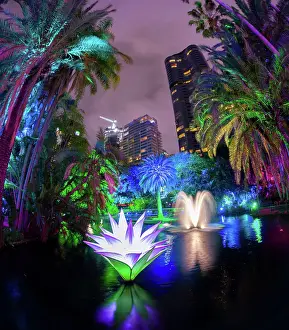 Prints of Brisbane City lights in the park Mitchell Pettigrew Photography Prints: city lights