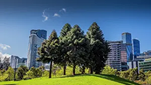 : City viewpoint, Melbourne CBD, Victoria