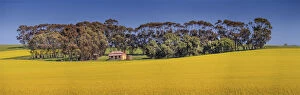 Images Dated 13th September 2015: Clare valley panorama