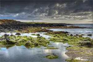 Tidal Pool Prints: Coastal dawn at Port Fairy, western Victoria