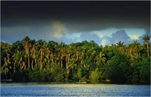 Images Dated 13th February 2013: Coastal rainforest, Erakor lagoon, Island of Efate, Vanuatu