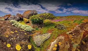 Coastal scene at North cape, King Island, Bass Strait, Tasmania, Australia