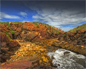 A coastal scene in the Tarkine Wilderness, West coastline of Tasmania, Australia A coastal scene in the Tarkine Wilderness, West coastline of Tasmania, Australia
