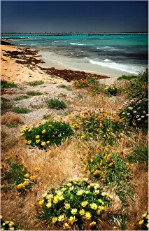 Coastal view at Beachport, A small fishing community in South Australia