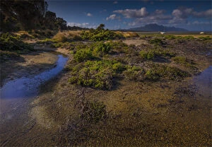 Images Dated 1st April 2017: Coastal view at the Bluff, west coastline of Flinders Island, Bass Strait, Tasmania, Australia