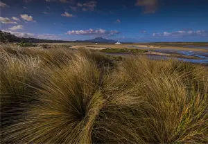 Coastal view at the Bluff, west coastline of Flinders Island, Bass Strait, Tasmania, Australia