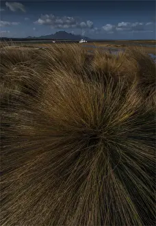 Coastal view at the Bluff, west coastline of Flinders Island, Bass Strait, Tasmania, Australia