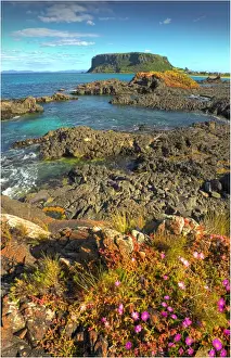 Coastal view towards Circular Head in northern Tasmania