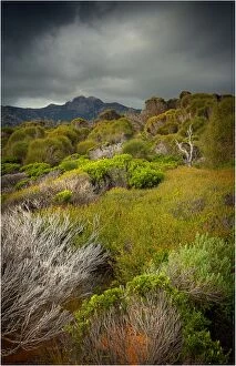 Images Dated 17th April 2011: Coastal view to Mount Strzelecki, Flinders Island Tasmania