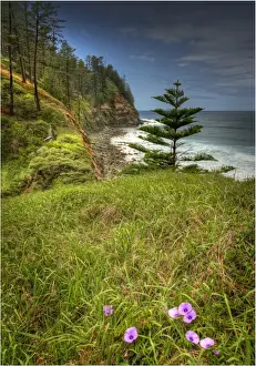 Images Dated 27th October 2012: Coastal view near Bloody Bridge