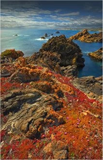 Images Dated 6th December 2011: A coastal view in the Tarkine wilderness area of Tasmania, Australia