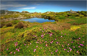 A coastal view in the Tarkine wilderness area of Tasmania, Australia A coastal view in the Tarkine wilderness area of Tasmania, Australia