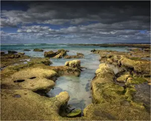 Images Dated 17th March 2013: The coastline at Black Point on King Island, Bass Strait, Tasmania, Australia