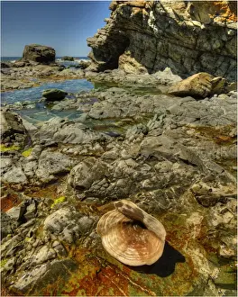 Images Dated 2012 November: The coastline at Black Point on King Island, Bass Strait, Tasmania, Australia