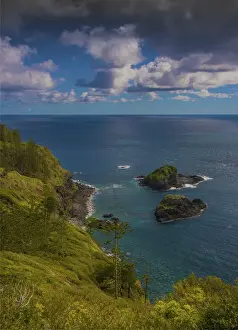 Coastline in the national park, Norfolk Island