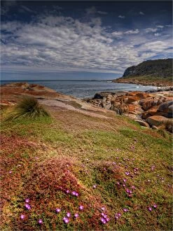 Images Dated 1st January 1970: The coastline near Cape Frankland, on the West coast of Flinders Island, Bass Strait, Tasmania