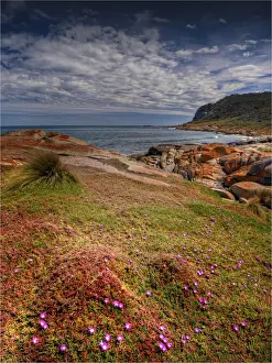 1970 1979 Prints: The coastline near Cape Frankland