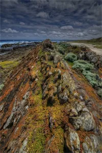 Shipwreck Prints: Coastline near the Cataraqui shipwreck
