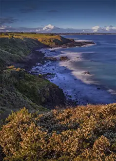 Coastline near the Nobbies, Phillip Island, Victoria, Australia