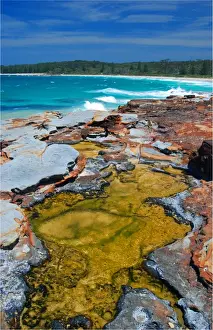 Images Dated 2009 January: Coastline near Pambula, southern New South Wales, Australia