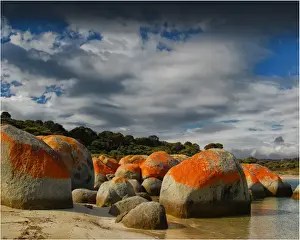 Coastline near Sawyers bay in an area called Lillies beach, which has beautiful lichen coloured boulders, Flinders Island, Bass Strait, Tasmania