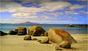 Images Dated 2008 November: Coastline near Sawyers bay in an area called Lillies beach