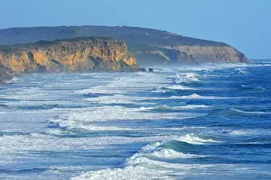 Coastline with Ocean Waves