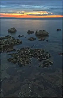 Images Dated 16th February 2011: The coastline of Port Phillip bay at dusk near Beaumaris, Melbourne, Victoria