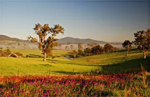 Images Dated 2009 January: Cobargo dawn, New South Wales, Australia