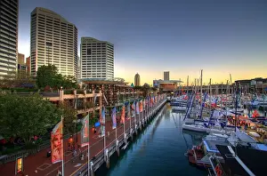 Flag Prints: Cockle Bay Wharf, Sydney