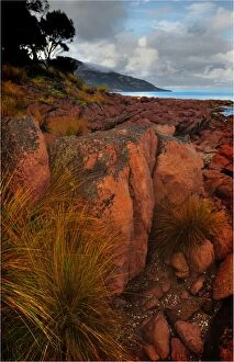 Images Dated 6th April 2010: Coles Bay, Freycinet Pensinsular, east coastline of Tasmania