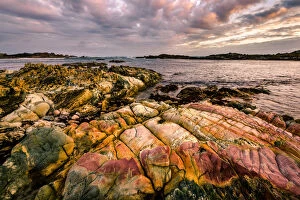 Images Dated 6th May 2016: Colorful Tarkine Coast, Tasmania