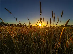 Images Dated 30th December 2020: A colourful sunlit dawn, heralding a summers day at Braeside Park