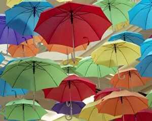 Images Dated 16th October 2014: Colourful umbrellas