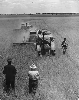 Working Prints: Combine Harvesting