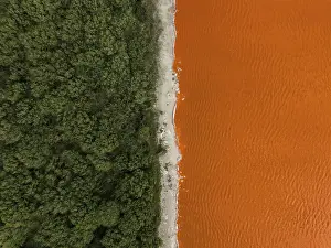 Images Dated 2023 August: Composed drone image showing the edge of a forest and an orange coloured salt lake