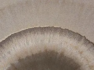 Composed drone photo showing the edge of a river tributary, The Kimberley, Western Australia, Australia