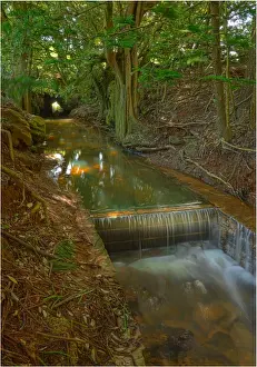 Flowing Water Prints: Convict built waterway that runs through the Kingston common and into Emily Bay