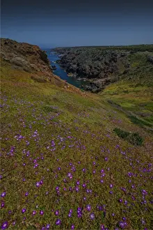 The copperhead cliffs on the South Western corner of King Island are isolated, rugged and extremely steep. Bass Strait, Tasmania