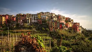 Mariusz Kluzniak Prints: Corniglia colourful old town on cliff sunset view