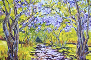 Art Collection: Country Lane with Avenue of Flowering Jacaranda Trees
