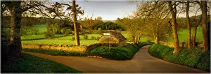 A country lane in the Cotswolds, Gloucestershire, England