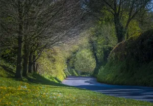 English Landscape And Panorama Views By Southern Lightscapes Prints: Country road at Cerne Abbas, Dorset, England, United Kingdom