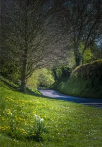 English Landscape And Panorama Views By Southern Lightscapes Prints: Country road at Cerne Abbas, Dorset, England, United Kingdom