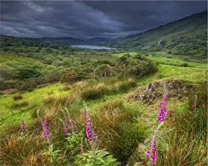 Wales Prints: Countryside farming view within the Snowdonia National Park in northern Wales