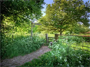 Southern lightscapes australia/countryside laneway dorset england Southern lightscapes australia/countryside laneway dorset england