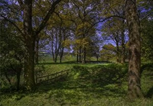 Images Dated 23rd April 2017: Countryside view at Badbury Rings, Dorset, England, United Kingdom