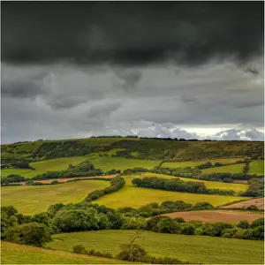 A countryside view near Corfe Castle, Isle of Purbeck, Dorset, England