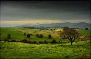 Yorkshire Prints: Countryside in Yorkshire, England, United Kingdom